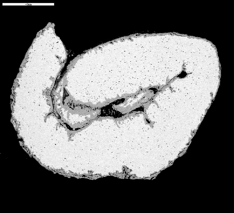 36 Estudio mediante microsonda de electrones